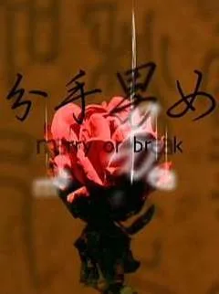 分手男女2008