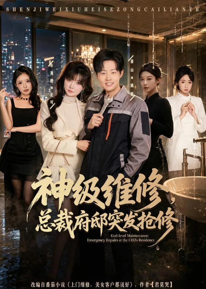 神级维修,总裁府邸突发抢修