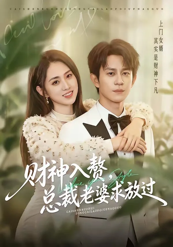 财神入赘，总裁老婆求放过
